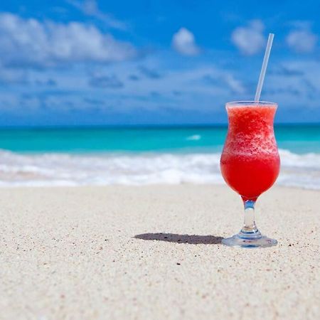 Le Palmier Bleu, Cocon Tropical, Plage & Piscine Anse Marcel Екстер'єр фото