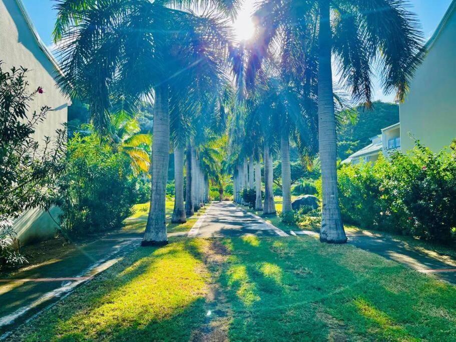 Le Palmier Bleu, Cocon Tropical, Plage & Piscine Anse Marcel Екстер'єр фото